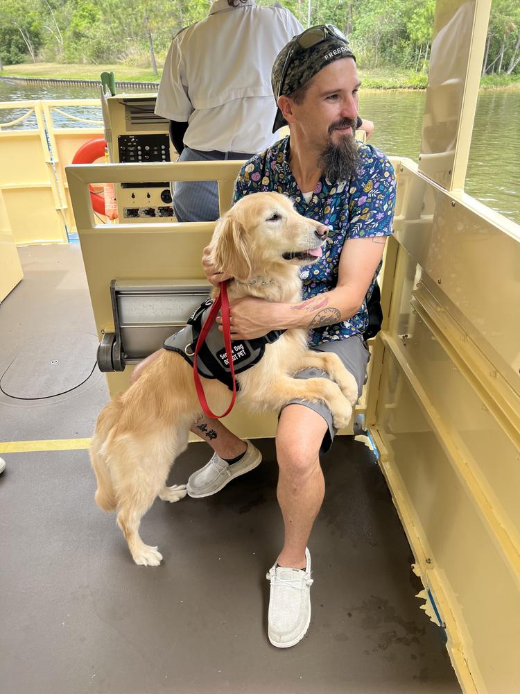 A golden retriever in a Southern Cross training harness standing beside its handler on a boat.