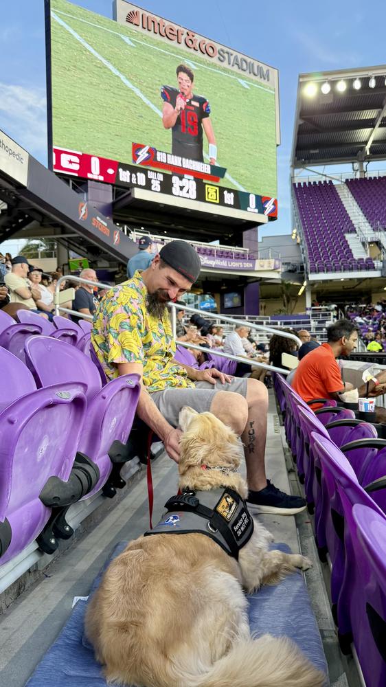 A golden retriever in a service vest resting in the stands during a soccer match.